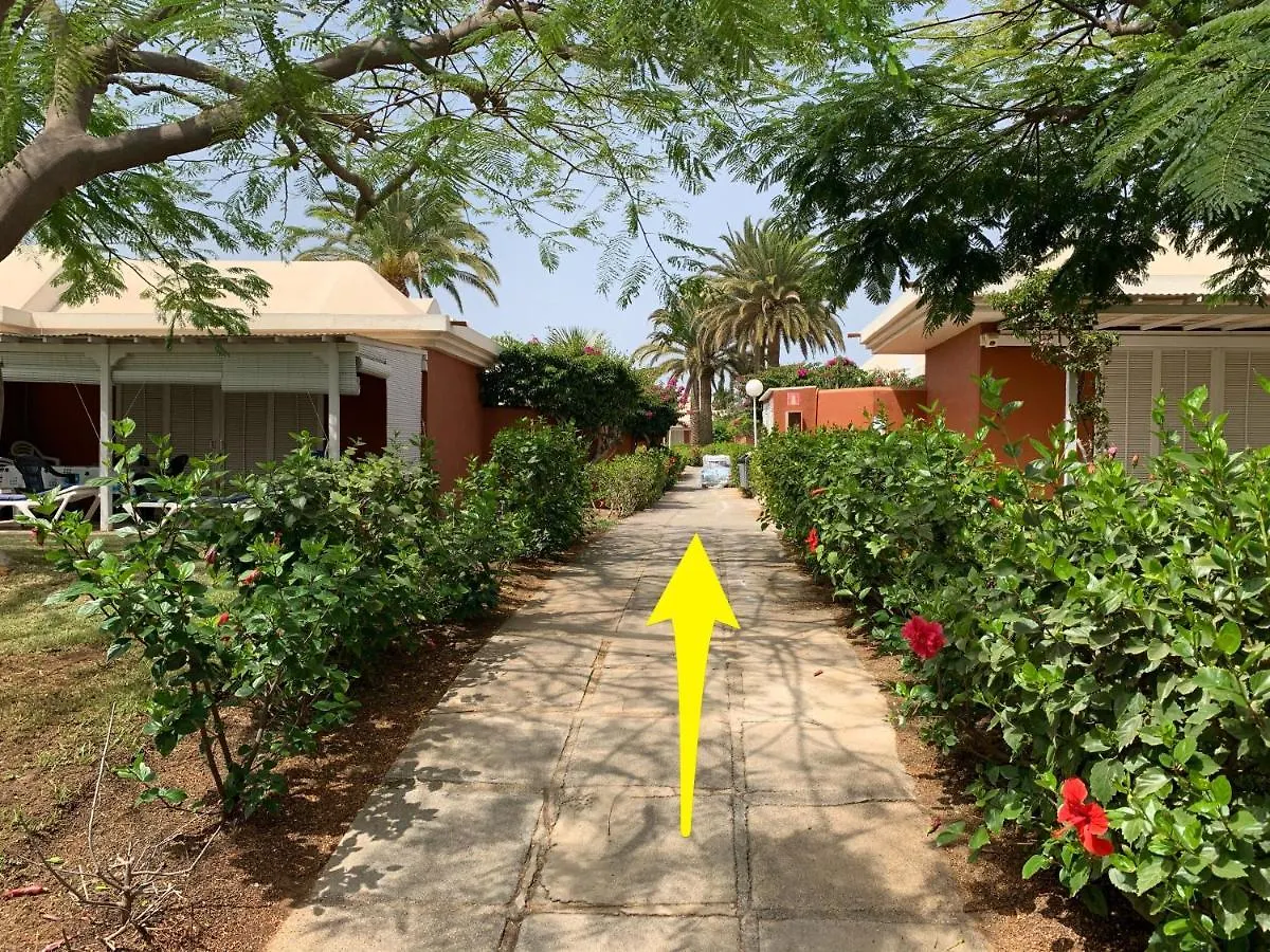 Flamboyant Tree Garden Holiday Home Maspalomas