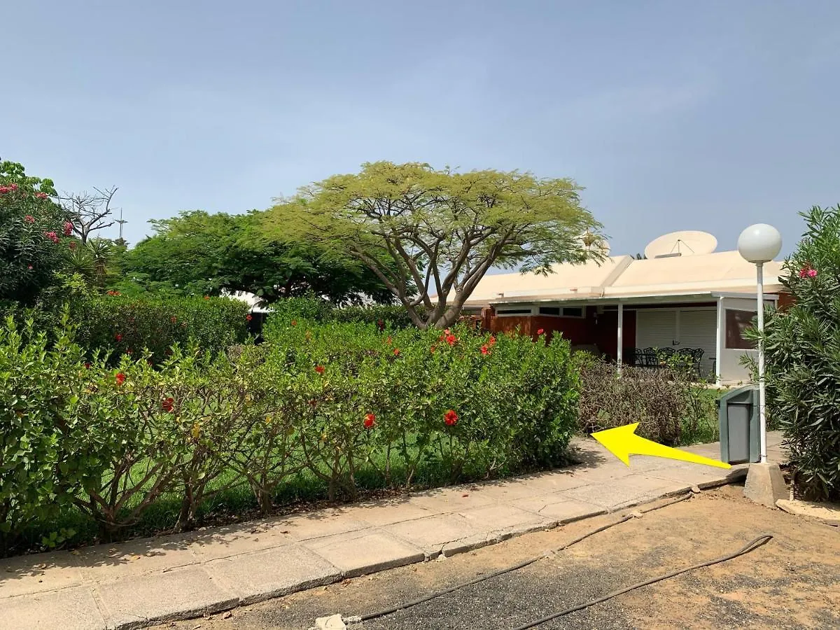Flamboyant Tree Garden Holiday Home Maspalomas